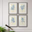 Verditer Fig I - ensemble de 4 peintures encadrées-939689374-939689369