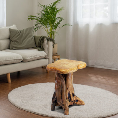 Natural Tree Stump End Table by Millwood Pines
