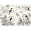 Papier peint oiseaux tropicaux, oiseaux exotiques, oiseaux de la jungle-1434603974-1434603981
