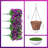 Daisy Arrangement-398277108