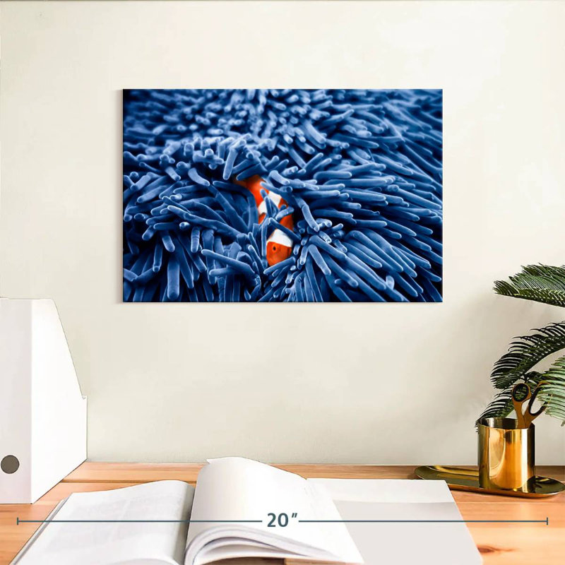 Aletra Clownfish Amongst Anemone, 8" H x 12" W