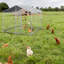Cage pour chien robuste 79 po avec toit pointu 79 po