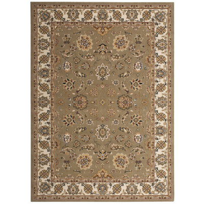 Barkett Oriental Wool Area Rug