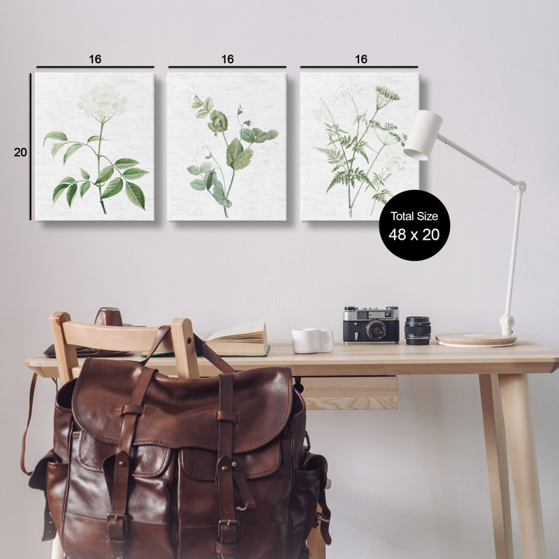  "Soft White Botanicals", ensemble de 3 toiles murales par lettres et lignes, H 20 po x l 16 po
