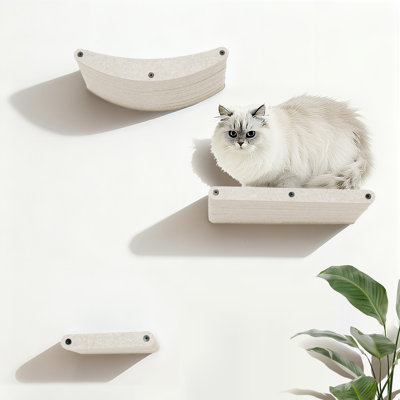 Étagères murales pour chat avec chat pour chat, système d'escalade en PET