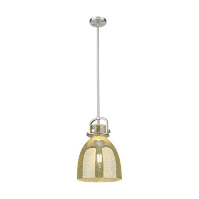 Luminaire suspendu à 1 lumière Badgett