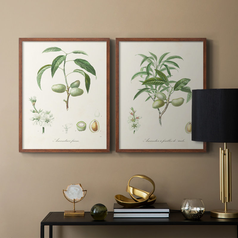 Impression encadrée botanique antique I-Premium - prête à être accrochée - aucun clou requis, Noyer, H 29 po x l 46 po