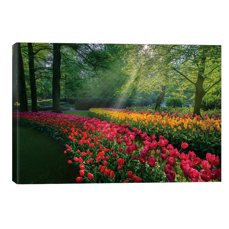 Special Garden by Marco Carmassi - Wrapped Canvas Print, 152.5 cm H x 101.5 cm W
