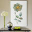 « simple pétales i », reproduction sur toile tendue-28761465