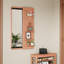 Le miroir mural 47,6 po x 15,5 po de conception multifonctionnelle à panneau mural pleine longueur permet d'économiser de l'espace et peut être poussé et tiré. Convient à la chambre à coucher / salon / entrée (couleur cerise)