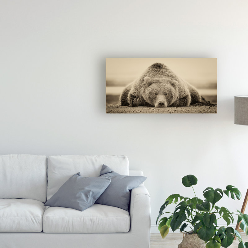 « Deep Sleep » par PHBurchett, reproduction de photo sur toile tendue, H 16 po x l 32 po x P 2 po