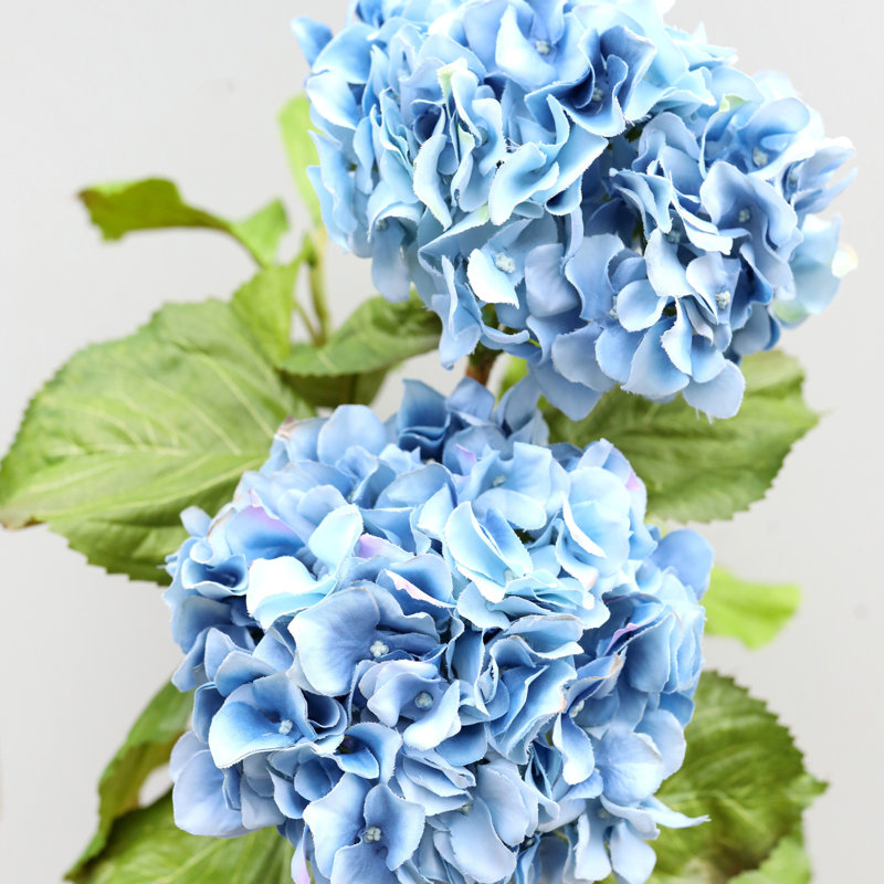 Hortensia double bleu 91 cm, Bleu / mauve