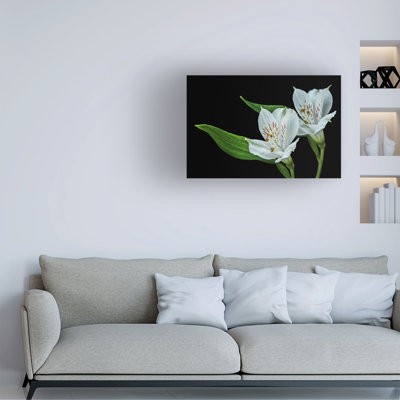 Janice Sullivan Together Forever Canvas Art