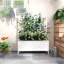 Lit de jardin surélevé galvanisé avec treillis pour vignes grimpantes Outsunny-1373138540