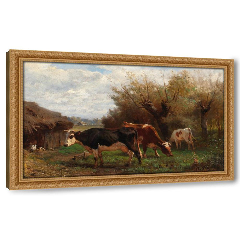 Cows Grazing