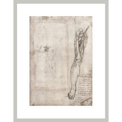 Drawing of human leg by Leonardo da Vinci -Framed Giclee Print