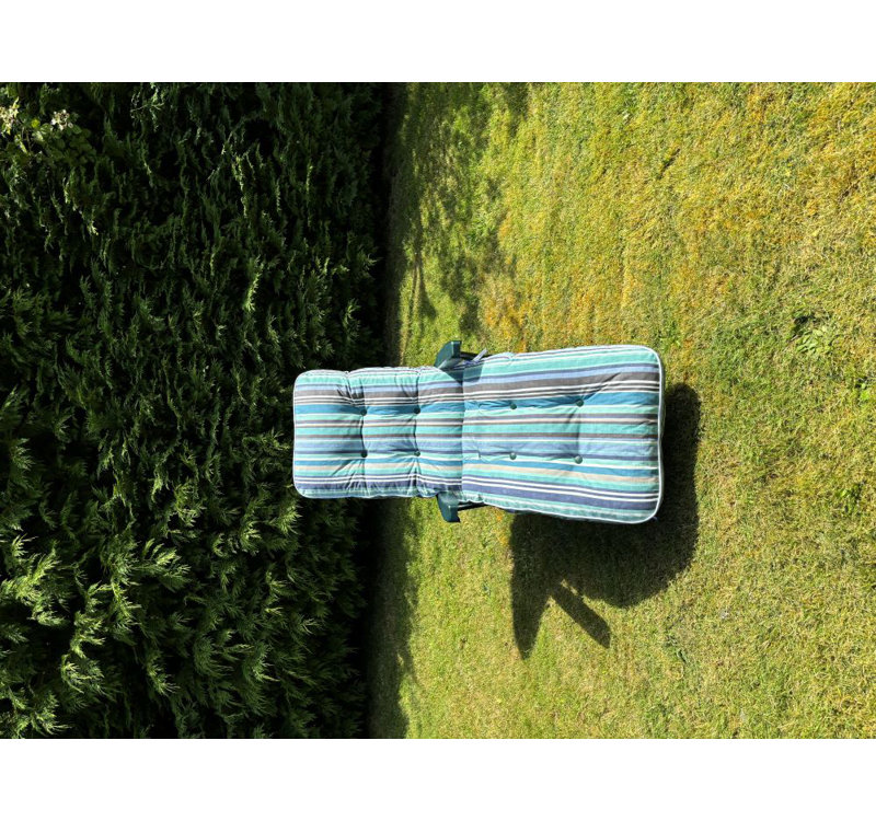 Chancler Steel Outdoor Lounge Chair, Blue, Green
