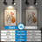 5CCT Black  LED Track Lighting Heads