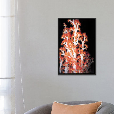 «Marine and Ocean Red Gorgonian Coral # 2», reproduction de photo sur toile