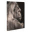 Silverback Gorilla In Abstract - Wrapped Canvas-55341075