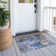 Machine Washable Indoor/Outdoor Efimenko ACN2300 Abstract Rug
