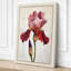 Iris in Rose Botanical - Wrapped Canvas-3448166-3448167