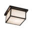 Hyde Park Prime 2 - Light Outdoor Flush Mount