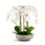 Henrietta RealTouch Orchid Arrangement-393177437