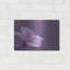 «Purple Dew» par Lori Deiter-1005802896