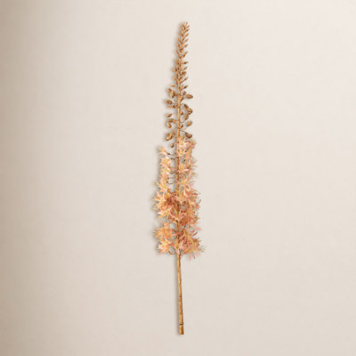 Eremurus Arrangement