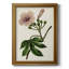 Mauve Botanicals I - impression-517422340