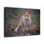 «Snow Fox Hunting Snow Fox on Hunt», reproduction d'art mural-571893384