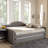 Jaileigh Queen Upholstered Daybed with Trundle in Gray, 31.08'' H X 86.12" W X 63.52" L-366361270-366361269
