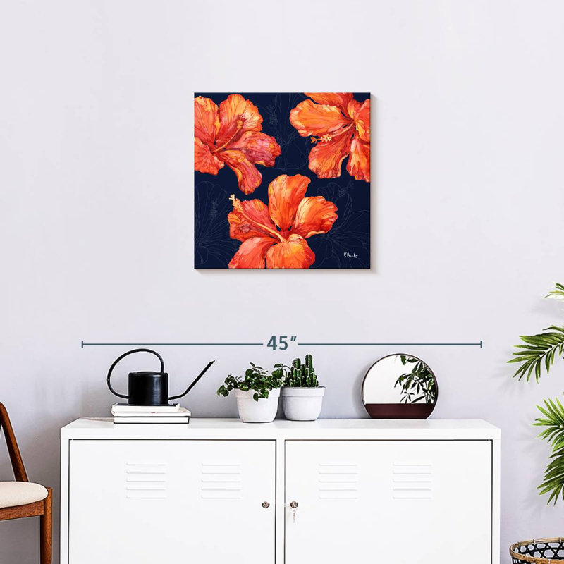 Hibiscus Harnek Hilo, H 20 po x l 20 po
