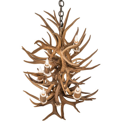 Lustre 6 lumières à deux niveaux 20 pouces