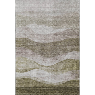 Premium Machine Washable Krause AMF1141 Swirls Rug