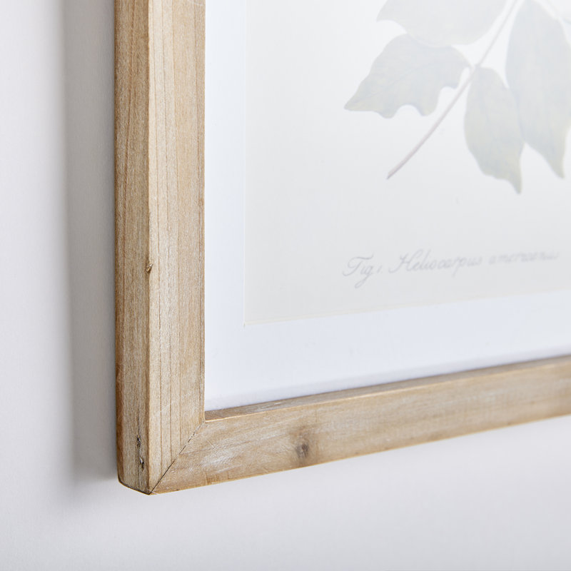 «Flora And Fauna», impressions de galerie