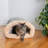 Faux Fur Nest Pet Bed-6347875