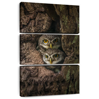 Brampt Twin Baby Owls