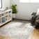 Dickison Machine Washable Oriental Gray/Brown Area Rug