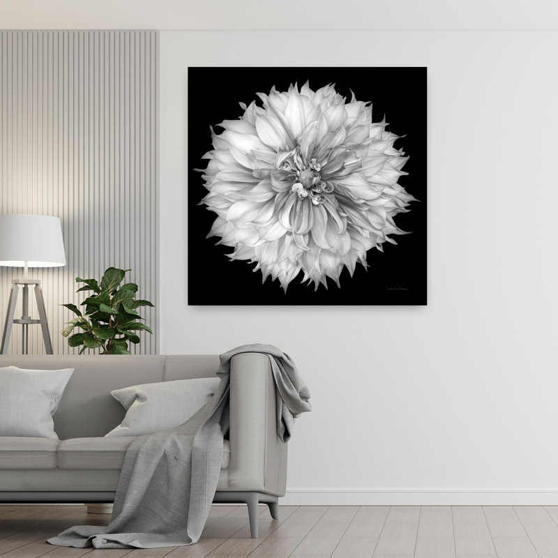 Dahlia I Bw Contemporary Dahlia, art floral, H 48 po x l 48 po