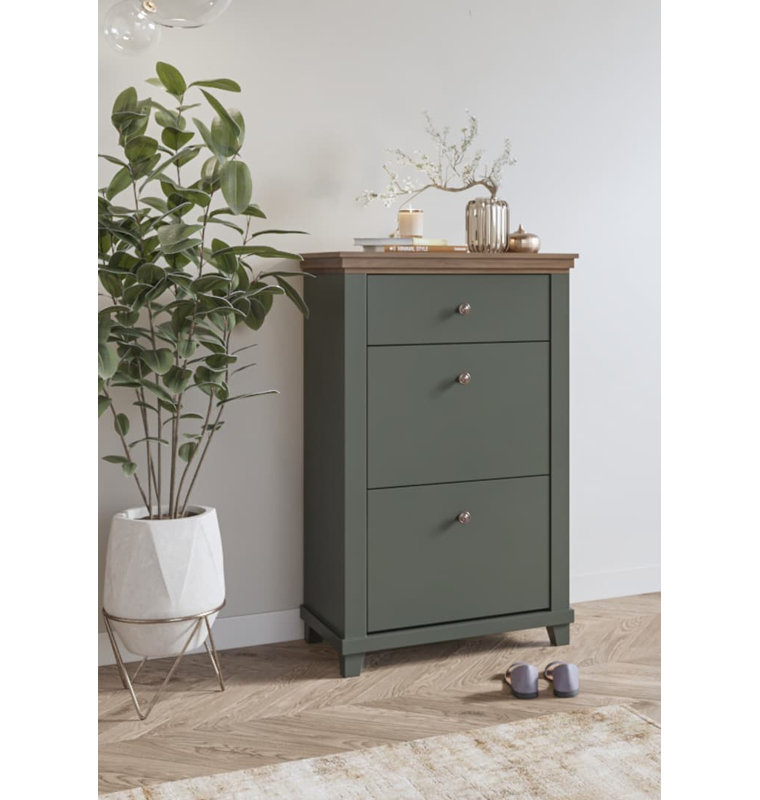 Cannady 28 Pair Shoe Storage Cabinet, Green