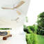 Ventilateur de plafond intérieur en bois avec 3 pales en bois massif, télécommande, moteur à courant continu réversible sans lumière-1245043785-1245043782