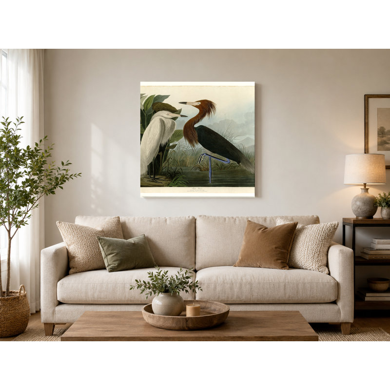 Aigrette rougeâtre (plaque CCLVI) - art mural carré sur toile, 12" W x 12" H