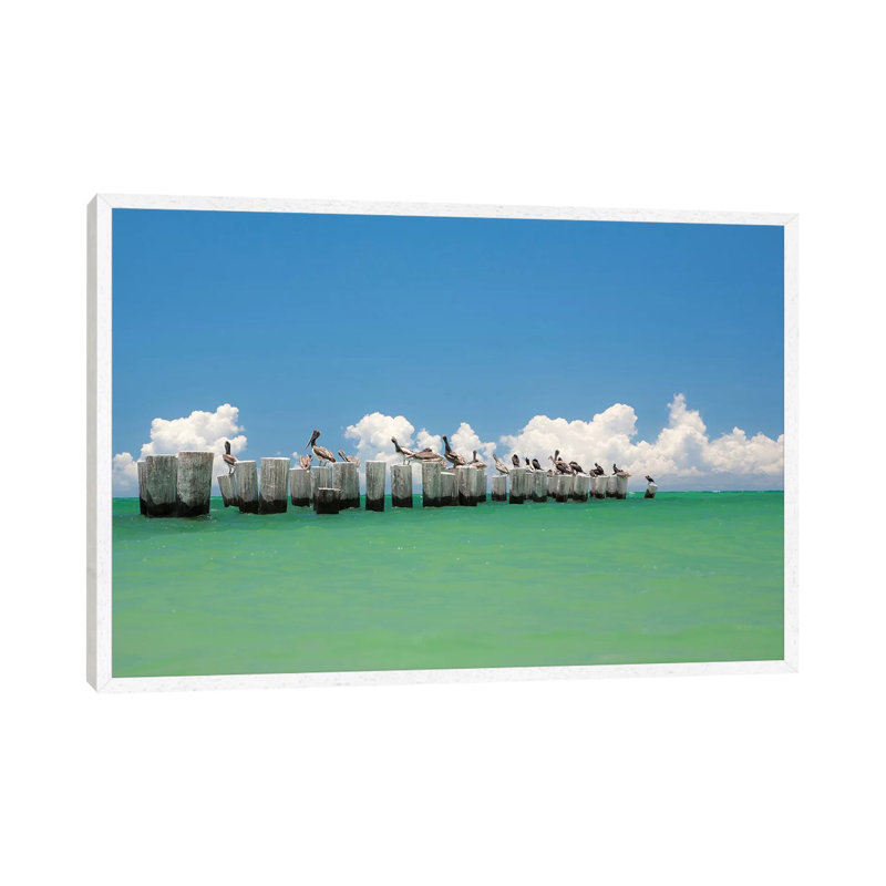 Gull Conference by Verne Varona - Gallery-Wrapped Canvas Giclée on Canvas, 66.04 cm H x 45.72 cm W, White Floated Frame