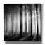«Wood Light» par PhotoINC Studio-543271759