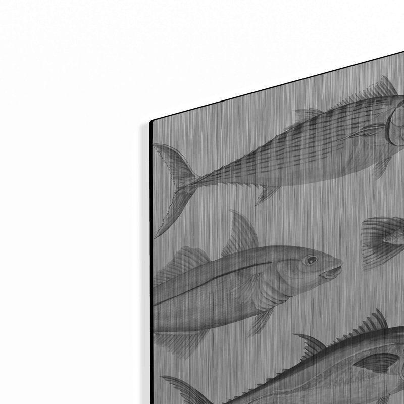«Highland Dunes» «Variety of Fish I» par Cindy Jacobs, art mural en métal, H 24 po x l 36 po
