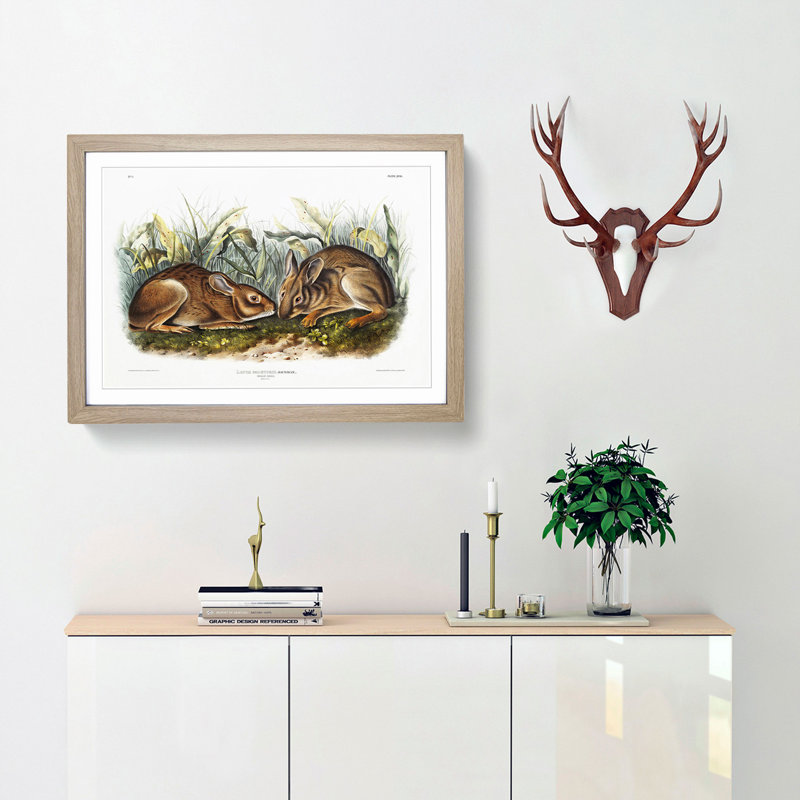 Marsh Hares by J.W. Audubon - Framed Print, Oak, 40cm H x 60cm W x 2cm D