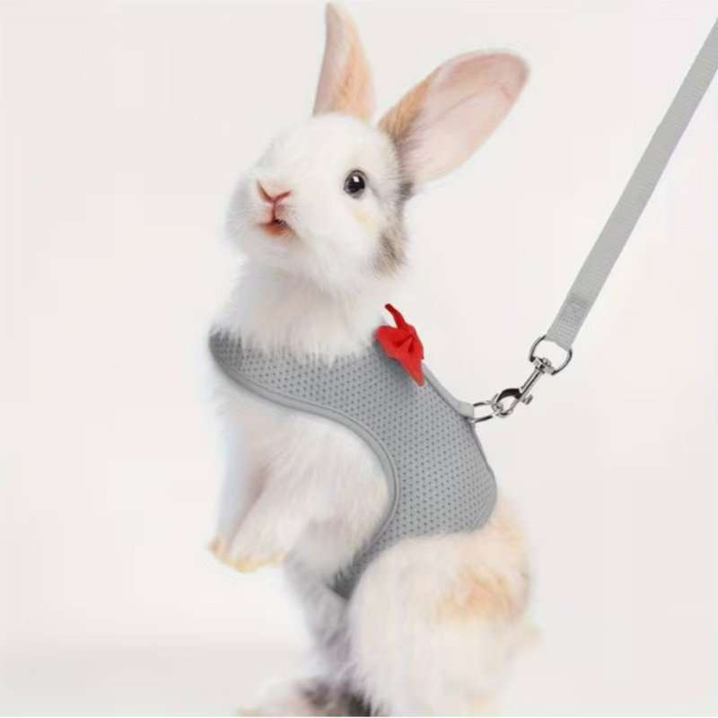 Ensemble de harnais et de laisse pour lapin, manche 7,09 à 8,66 po, gris, Gris