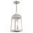 Antionetta Outdoor Hanging Lantern-448062608